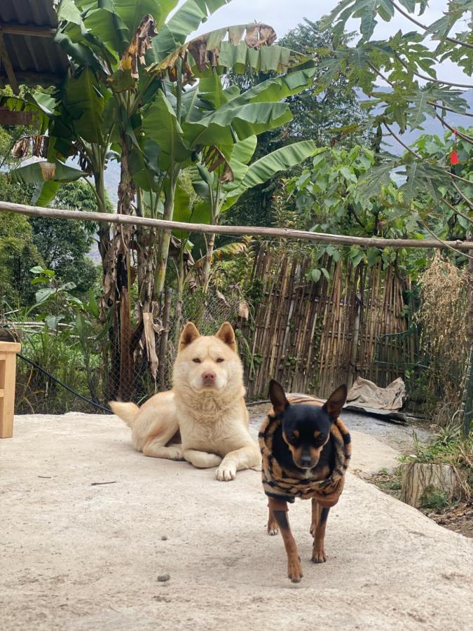 Homie House Thien Huong - Traditional Home Донг Ван Екстериор снимка